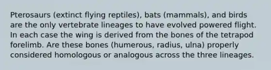 Pterosaurs (extinct flying reptiles), bats (mammals), and birds are the only vertebrate lineages to have evolved powered flight. In each case the wing is derived from the bones of the tetrapod forelimb. Are these bones (humerous, radius, ulna) properly considered homologous or analogous across the three lineages.