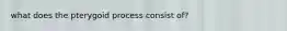 what does the pterygoid process consist of?