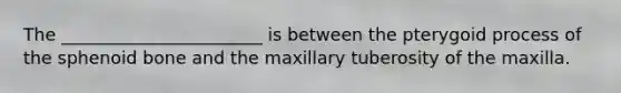 The _______________________ is between the pterygoid process of the sphenoid bone and the maxillary tuberosity of the maxilla.