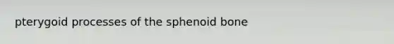 pterygoid processes of the sphenoid bone