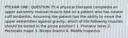 PTEXAM ONE: QUESTION 75 A physical therapist completes an upper extremity manual muscle test on a patient who has rotator cuff tendonitis. Assuming the patient has the ability to move the upper extremities against gravity, which of the following muscles should be tested in the prone position? 1. Pronator teres 2. Pectoralis major 3. Biceps brachii 4. Middle trapezius