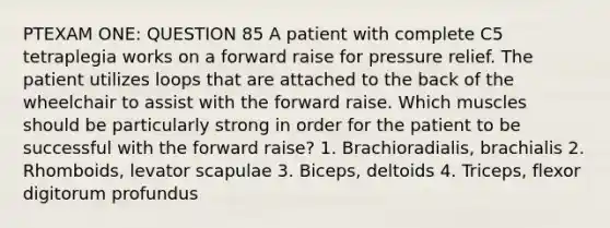 PTEXAM ONE: QUESTION 85 A patient with complete C5 tetraplegia works on a forward raise for pressure relief. The patient utilizes loops that are attached to the back of the wheelchair to assist with the forward raise. Which muscles should be particularly strong in order for the patient to be successful with the forward raise? 1. Brachioradialis, brachialis 2. Rhomboids, levator scapulae 3. Biceps, deltoids 4. Triceps, flexor digitorum profundus