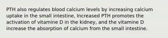 PTH also regulates blood calcium levels by increasing calcium uptake in the small intestine, Increased PTH promotes the activation of vitamine D in the kidney, and the vitamine D increase the absorption of calcium from the small intestine.