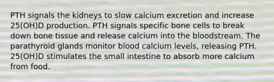 PTH signals the kidneys to slow calcium excretion and increase 25(OH)D production. PTH signals specific bone cells to break down bone tissue and release calcium into the bloodstream. The parathyroid glands monitor blood calcium levels, releasing PTH. 25(OH)D stimulates the small intestine to absorb more calcium from food.