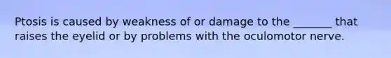 Ptosis is caused by weakness of or damage to the _______ that raises the eyelid or by problems with the oculomotor nerve.