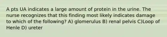 A pts UA indicates a large amount of protein in the urine. The nurse recognizes that this finding most likely indicates damage to which of the following? A) glomerulus B) renal pelvis C)Loop of Henle D) ureter