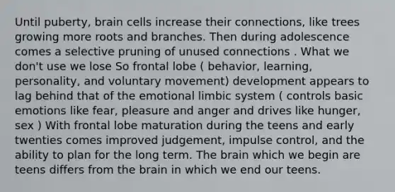 Until puberty, brain cells increase their connections, like trees growing more roots and branches. Then during adolescence comes a selective pruning of unused connections . What we don't use we lose So frontal lobe ( behavior, learning, personality, and voluntary movement) development appears to lag behind that of the emotional limbic system ( controls basic emotions like fear, pleasure and anger and drives like hunger, sex ) With frontal lobe maturation during the teens and early twenties comes improved judgement, impulse control, and the ability to plan for the long term. The brain which we begin are teens differs from the brain in which we end our teens.