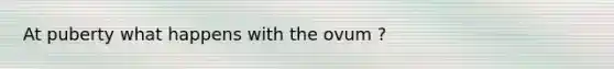 At puberty what happens with the ovum ?