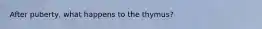 After puberty, what happens to the thymus?