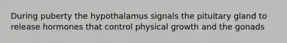 During puberty the hypothalamus signals the pituitary gland to release hormones that control physical growth and the gonads