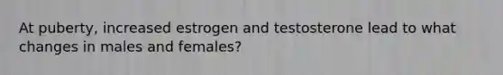 At puberty, increased estrogen and testosterone lead to what changes in males and females?