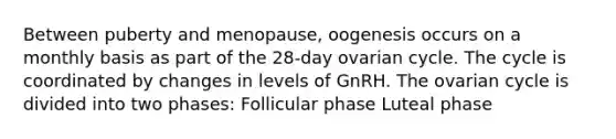 Between puberty and menopause, oogenesis occurs on a monthly basis as part of the 28-day ovarian cycle. The cycle is coordinated by changes in levels of GnRH. The ovarian cycle is divided into two phases: Follicular phase Luteal phase