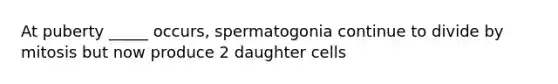 At puberty _____ occurs, spermatogonia continue to divide by mitosis but now produce 2 daughter cells