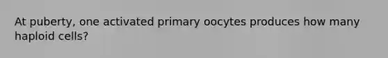 At puberty, one activated primary oocytes produces how many haploid cells?