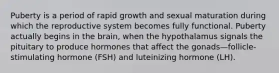 Puberty is a period of rapid growth and sexual maturation during which the reproductive system becomes fully functional. Puberty actually begins in <a href='https://www.questionai.com/knowledge/kLMtJeqKp6-the-brain' class='anchor-knowledge'>the brain</a>, when the hypothalamus signals the pituitary to produce hormones that affect the gonads—follicle-stimulating hormone (FSH) and luteinizing hormone (LH).