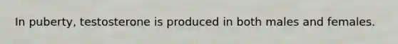 In puberty, testosterone is produced in both males and females.