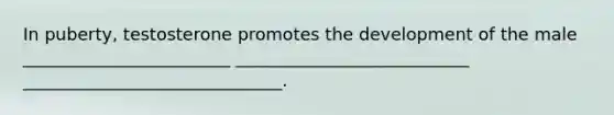 In puberty, testosterone promotes the development of the male ________________________ ___________________________ ______________________________.
