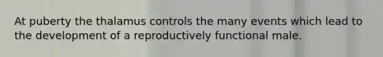 At puberty the thalamus controls the many events which lead to the development of a reproductively functional male.