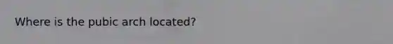 Where is the pubic arch located?