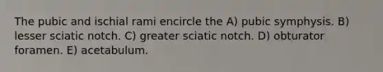 The pubic and ischial rami encircle the A) pubic symphysis. B) lesser sciatic notch. C) greater sciatic notch. D) obturator foramen. E) acetabulum.