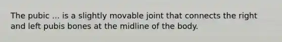 The pubic ... is a slightly movable joint that connects the right and left pubis bones at the midline of the body.