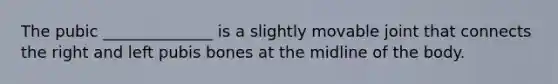 The pubic ______________ is a slightly movable joint that connects the right and left pubis bones at the midline of the body.