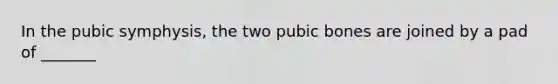 In the pubic symphysis, the two pubic bones are joined by a pad of _______