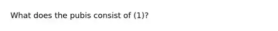 What does the pubis consist of (1)?