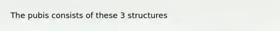 The pubis consists of these 3 structures