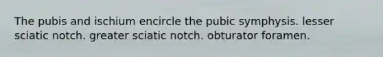 The pubis and ischium encircle the pubic symphysis. lesser sciatic notch. greater sciatic notch. obturator foramen.