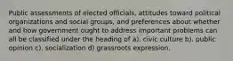 Public assessments of elected officials, attitudes toward political organizations and social groups, and preferences about whether and how government ought to address important problems can all be classified under the heading of a). civic culture b). public opinion c). socialization d) grassroots expression.