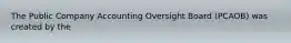 The Public Company Accounting Oversight Board (PCAOB) was created by the