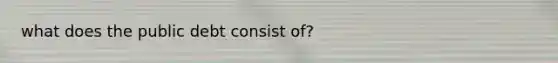 what does the public debt consist of?