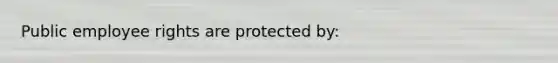 Public employee rights are protected by: