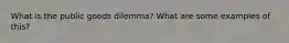 What is the public goods dilemma? What are some examples of this?