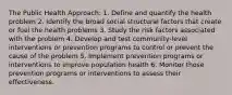 The Public Health Approach: 1. Define and quantify the health problem 2. Identify the broad social structural factors that create or fuel the health problems 3. Study the risk factors associated with the problem 4. Develop and test community-level interventions or prevention programs to control or prevent the cause of the problem 5. Implement prevention programs or interventions to improve population health 6. Monitor those prevention programs or interventions to assess their effectiveness.