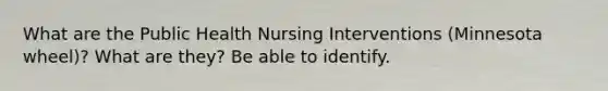 What are the Public Health Nursing Interventions (Minnesota wheel)? What are they? Be able to identify.