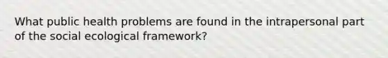 What public health problems are found in the intrapersonal part of the social ecological framework?