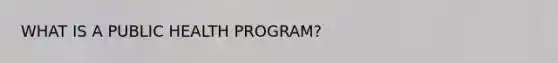 WHAT IS A PUBLIC HEALTH PROGRAM?