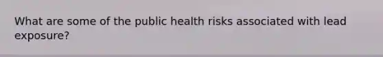 What are some of the public health risks associated with lead exposure?