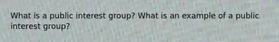 What is a public interest group? What is an example of a public interest group?