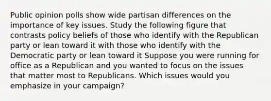 Public opinion polls show wide partisan differences on the importance of key issues. Study the following figure that contrasts policy beliefs of those who identify with the Republican party or lean toward it with those who identify with the Democratic party or lean toward it Suppose you were running for office as a Republican and you wanted to focus on the issues that matter most to Republicans. Which issues would you emphasize in your campaign?