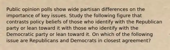 Public opinion polls show wide partisan differences on the importance of key issues. Study the following figure that contrasts policy beliefs of those who identify with the Republican party or lean toward it with those who identify with the Democratic party or lean toward it. On which of the following issue are Republicans and Democrats in closest agreement?