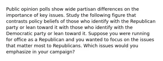 Public opinion polls show wide partisan differences on the importance of key issues. Study the following figure that contrasts policy beliefs of those who identify with the Republican party or lean toward it with those who identify with the Democratic party or lean toward it. Suppose you were running for office as a Republican and you wanted to focus on the issues that matter most to Republicans. Which issues would you emphasize in your campaign?