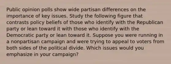 Public opinion polls show wide partisan differences on the importance of key issues. Study the following figure that contrasts policy beliefs of those who identify with the Republican party or lean toward it with those who identify with the Democratic party or lean toward it. Suppose you were running in a nonpartisan campaign and were trying to appeal to voters from both sides of the political divide. Which issues would you emphasize in your campaign?