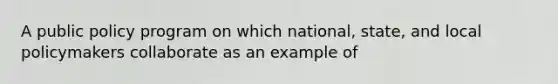 A public policy program on which national, state, and local policymakers collaborate as an example of