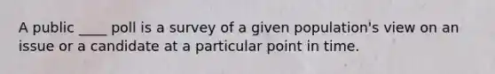 A public ____ poll is a survey of a given population's view on an issue or a candidate at a particular point in time.