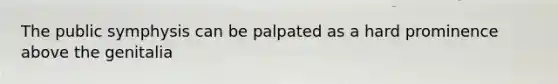 The public symphysis can be palpated as a hard prominence above the genitalia