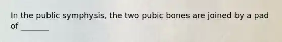 In the public symphysis, the two pubic bones are joined by a pad of _______