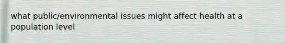 what public/environmental issues might affect health at a population level